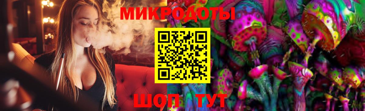 Псилоцибиновые грибы Psilocybe Лыткарино